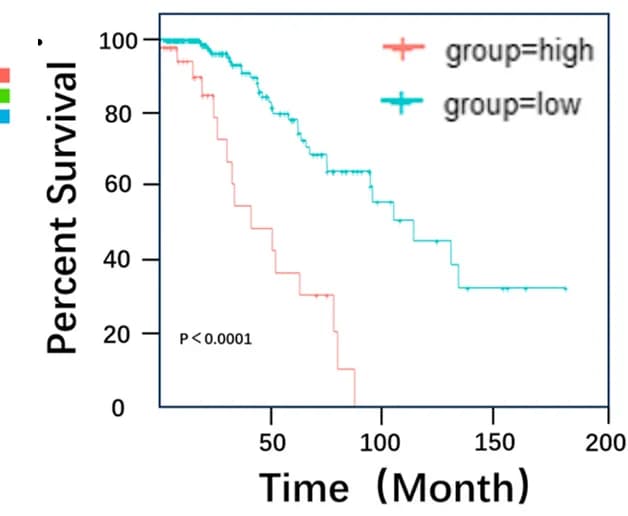 Open access visualization of Survival Curve, Line Step, Kaplan-Meier Survival Analysis, Metabolic Signature, IDH-mutant Gliomas