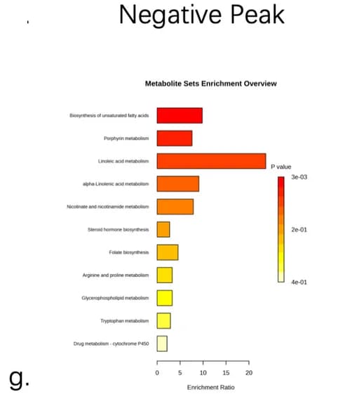 Open access visualization of Bar Plot, Statistics, Negative Ion Peak, Accumulation