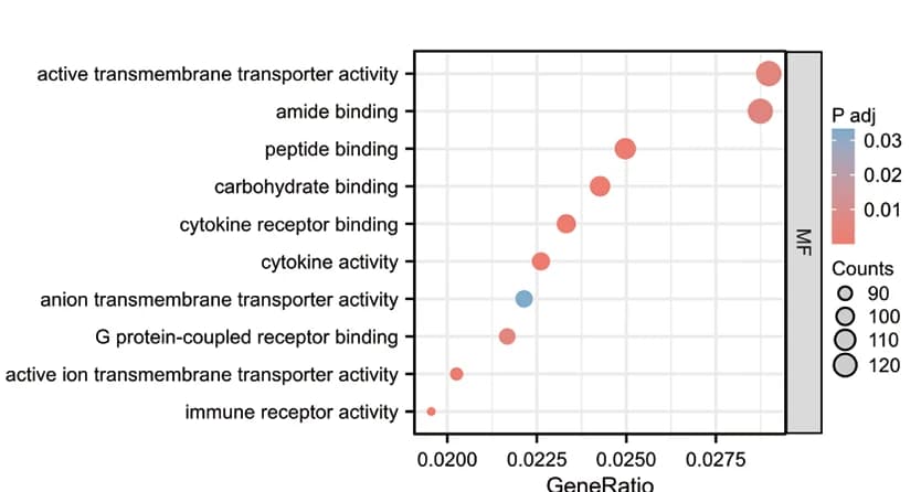 Open access visualization of Bubble Plot, Gene Ontology, Molecular Function, Differentially Expressed Genes