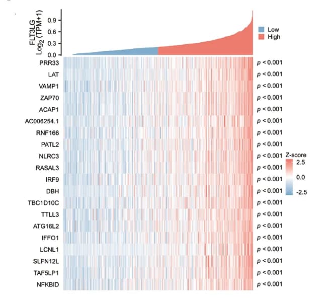 Open access visualization of Heatmap, Genes, FLT3LG