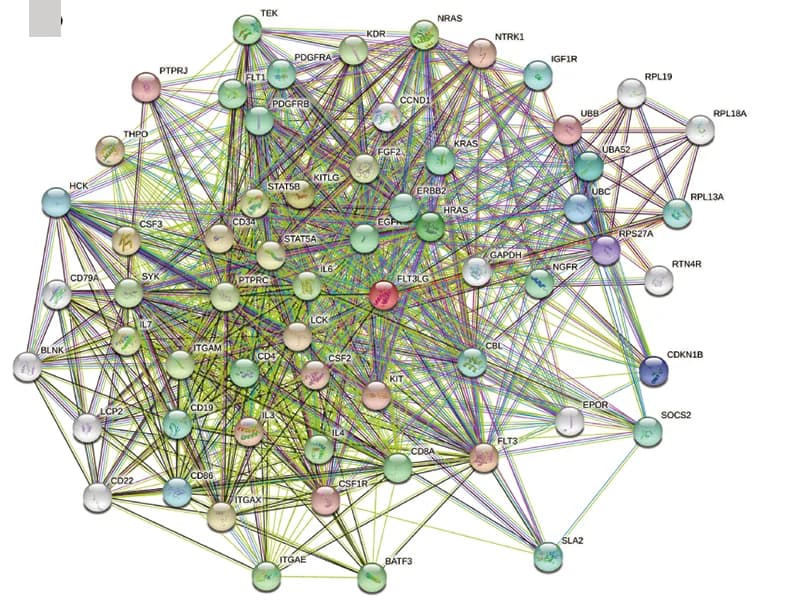 Open access visualization of Network, Pathway, PPI Networks, STRING