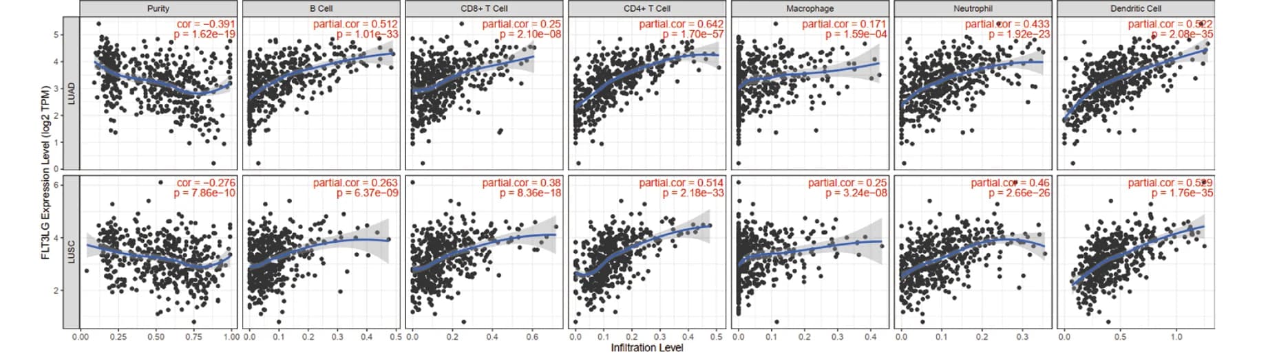 Open access visualization of Scatter Plot, Regression Plot, FLT3LG, Immune Cells, TIMER