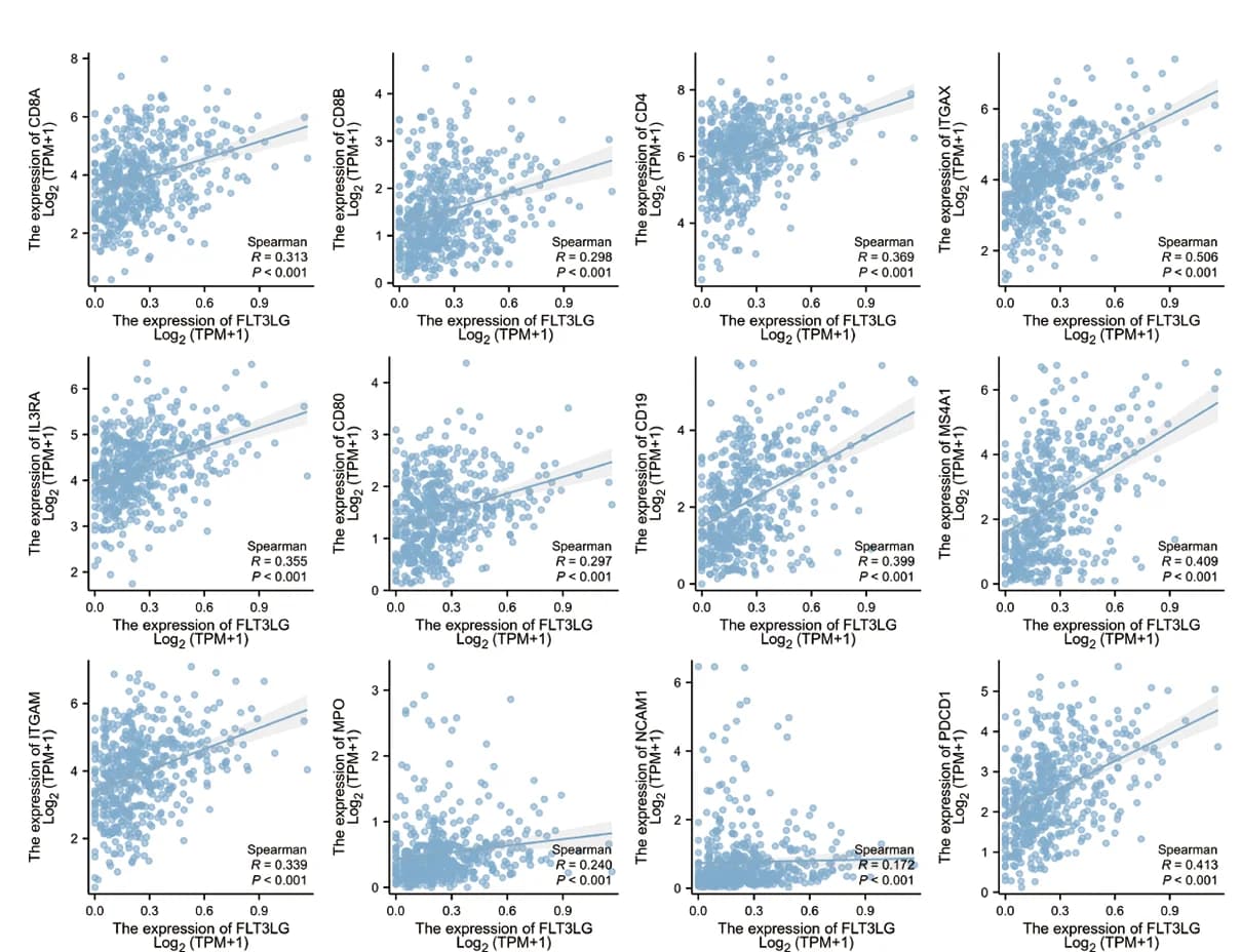 Open access visualization of Scatter Plot, Regression Plot, FLT3LG, Immune Cell Marker