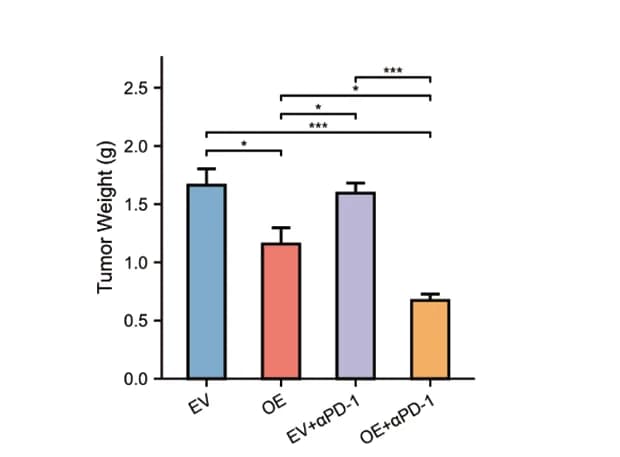Open access visualization of Bar Plot, Error Bars, LLC Subcutaneous Tumors, Tumor Weight