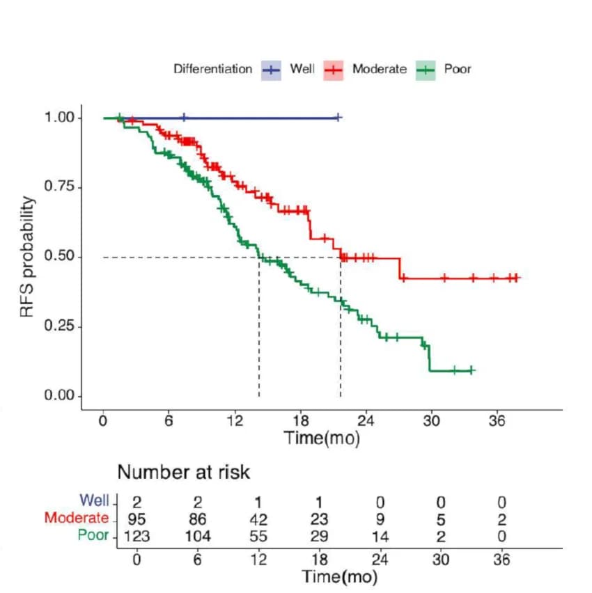 Open access visualization of Survival Curve, Kaplan Meier plots, RFS, Tumor Differentiation