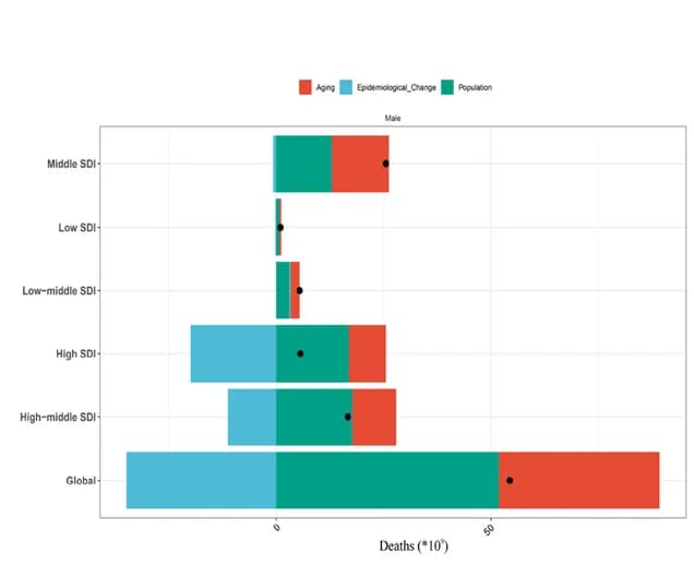 Open access visualization of Stacked Bar Plot, Deaths, Sociodemographic Index, Males, Aging