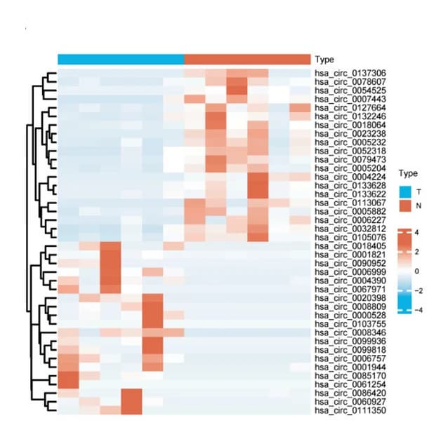 Open access visualization of Heatmap, Clustered, Cluster Analysis