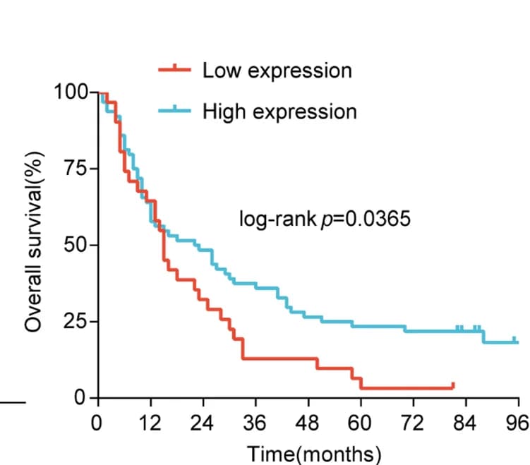 Open access visualization of Survival Curve, Line Step, Kaplan-Meier Analysis, Overall Survival, circSLC22A3
