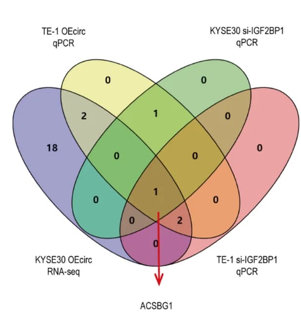 Open access visualization of Venn Diagram, Target Genes, Gene Screening