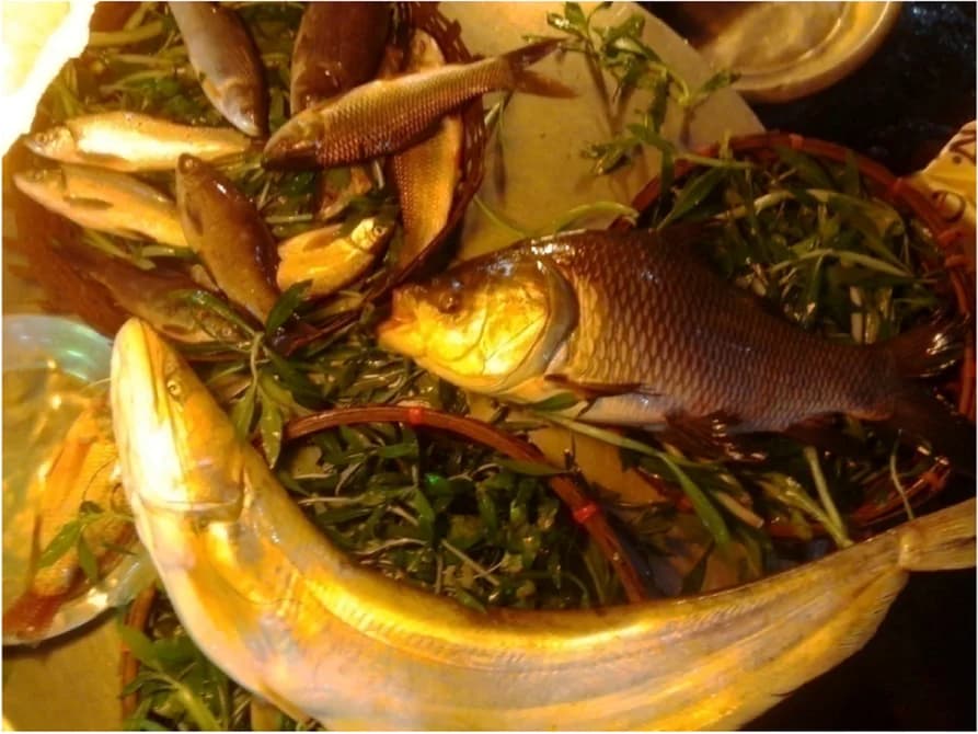 Open access visualization of Photo, Wet Market, Fish, Greenery, Display