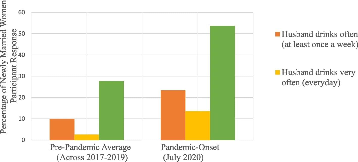 Open access visualization of Clustered, Alcohol Use, Intimate Partner Violence, Newly-Married Women, Pandemic
