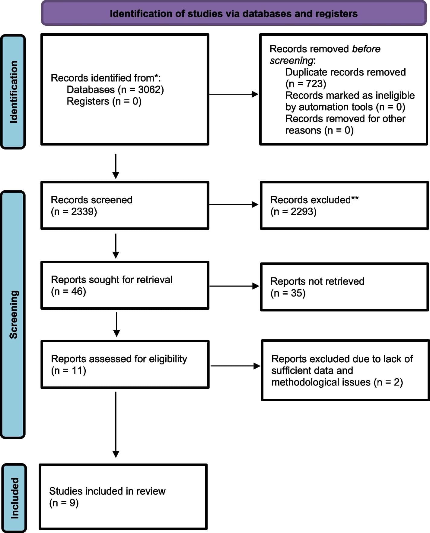 Open access visualization of Workflow, Flowchart, PRISMA Flow Diagram, Systematic Review, Databases
