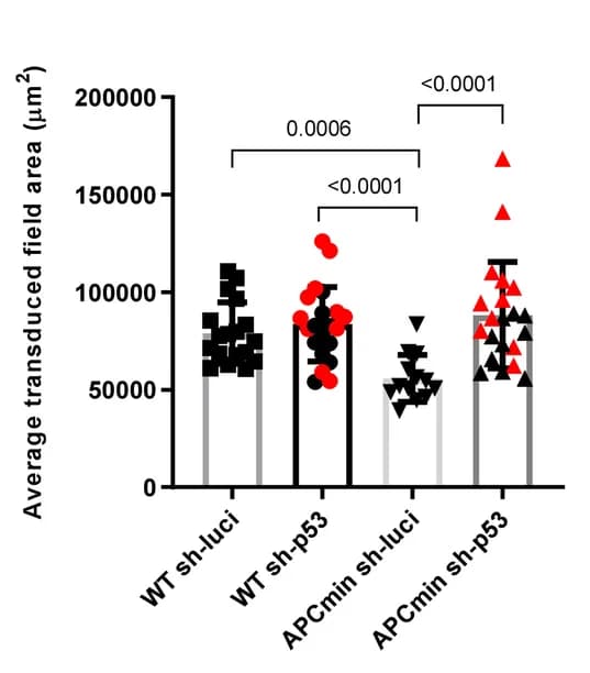 Open access visualization of Error Bars, Bar Plot, Scatter Plot, Crypt Field, Small Intestine