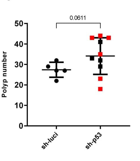 Open access visualization of Scatter Plot, Error Bars, Crypt Field, Small Intestine, shRNA