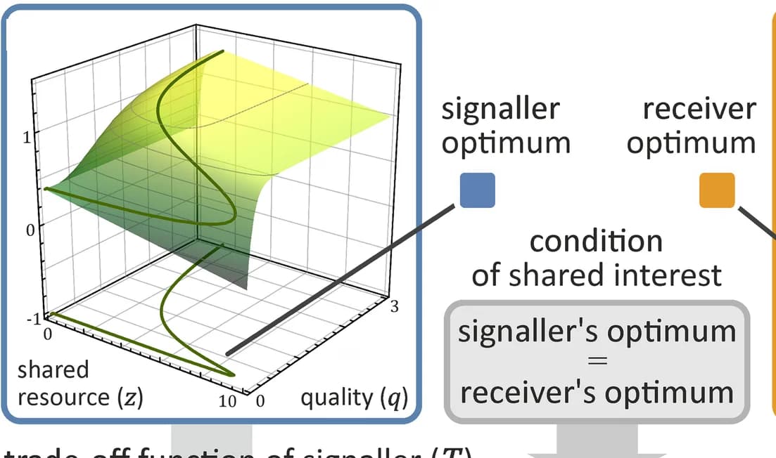 Open access visualization of 3D Plot, Signaller, Benefit Function, Strategy