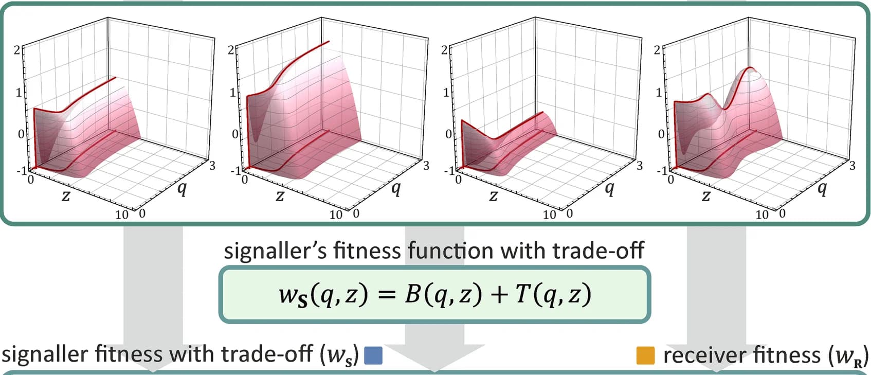 Open access visualization of 3D Plot, Trade-off Function, Equilibrium, Signals
