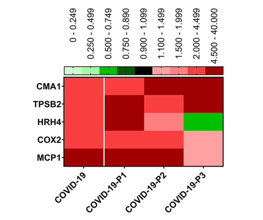 Open access visualization of Heatmap, Clustered, Immunostaining, CD68, Testes