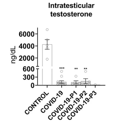 Open access visualization of Bar Plot, Error Bars, Intratesticular Testosterone, RIA, t-test