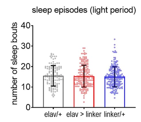 Open access visualization of Bar Plot, Error Bars, Scatter Plot, Sleep Episodes, Light