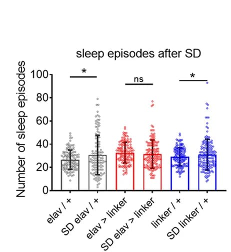 Open access visualization of Error Bars, Scatter Plot, Sleep Episodes, Sleep Deprivation, Sleep