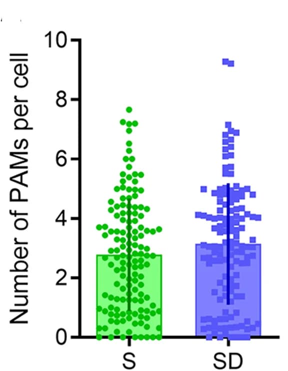 Open access visualization of Bar Plot, Scatter Plot, Error Bars, ER, Plasma Membrane