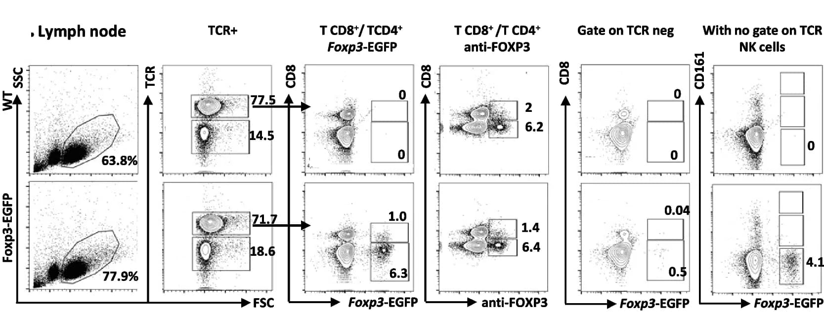 Open access visualization of Scatter Plot, Flow Cytometry, Peripheral Blood Lymphocyte, Lymph Node Cells, Foxp3-EGFP Rats