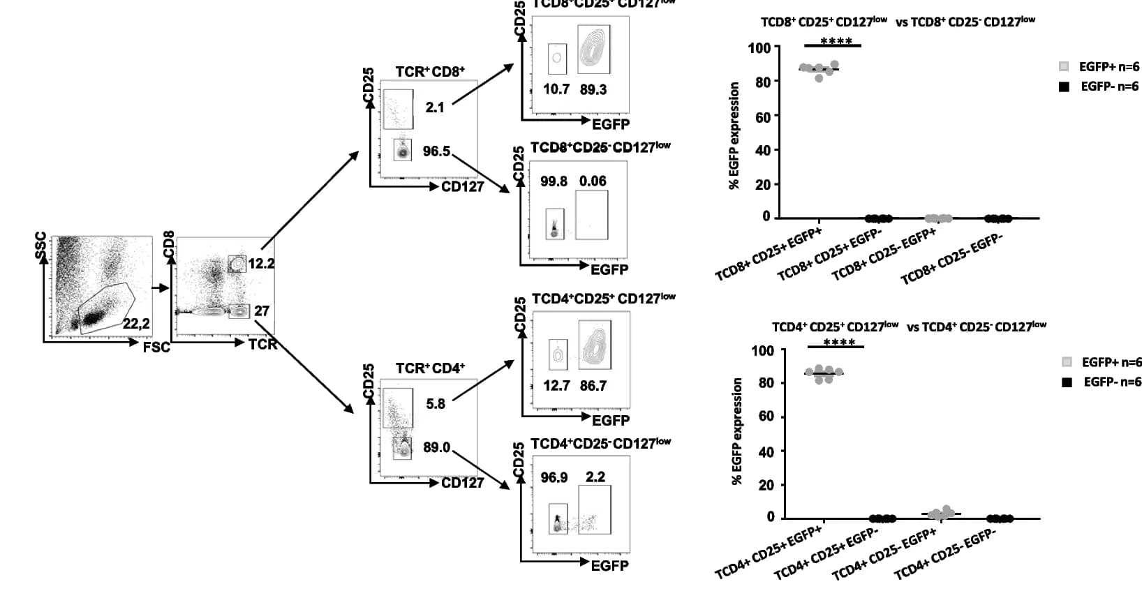Open access visualization of Scatter Plot, Bar Plot, TCR, CD8, CD4