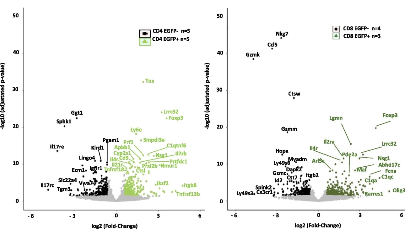 Open access visualization of Volcano Plot, Scatter Plot, Volcano Plots, Overexpression, CD4 + EGFP + Cells