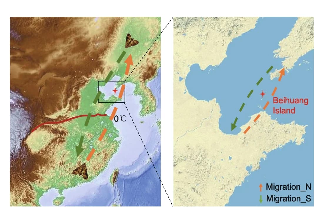 Open access visualization of Geo Map, Beihuang Island, Migrating Moths, Black Cutworm, Searchlight Traps