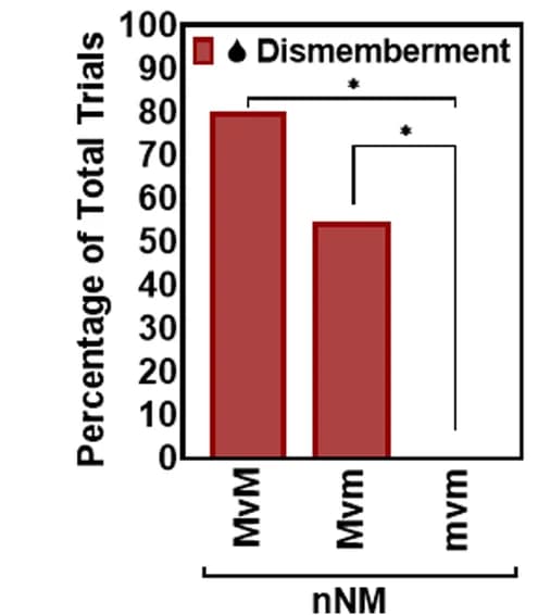 Open access visualization of Bar Plot, Dismemberment, Death, Trials