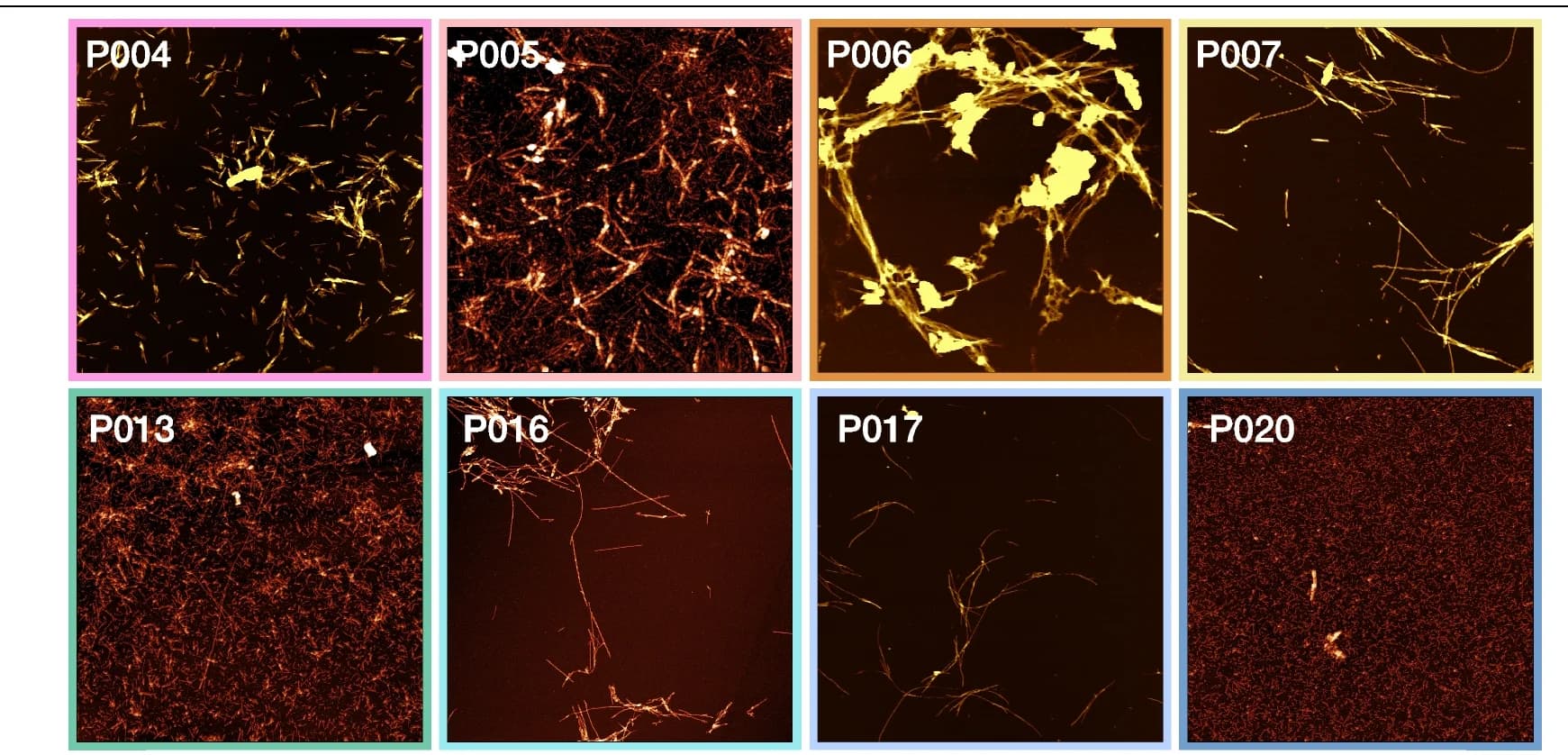 Open access visualization of Microscopy, AFM, Height Images, IgLCs, Aggregation