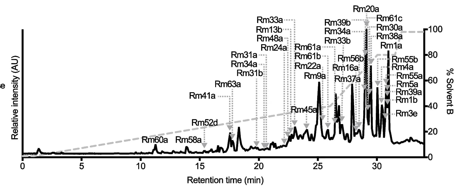 Open access visualization of Line Plot, Line Step, Ion Chromatogram, LC-MS/MS, Venom Peptides