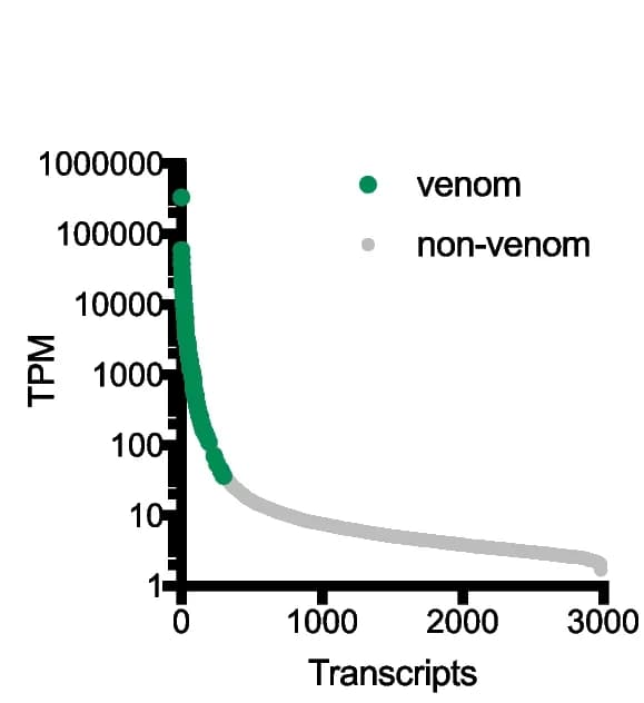 Open access visualization of Scatter Plot, Venom Component, Transcripts, TPM