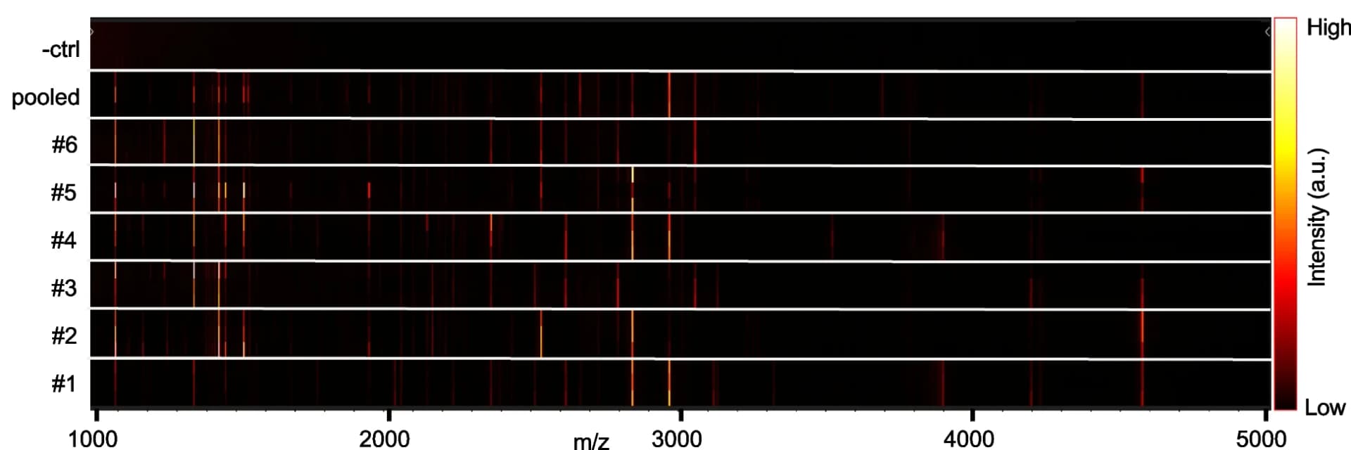 Open access visualization of Heatmap, Spectrogram, MALDI-MS spectra, R. metallica venom, Venom