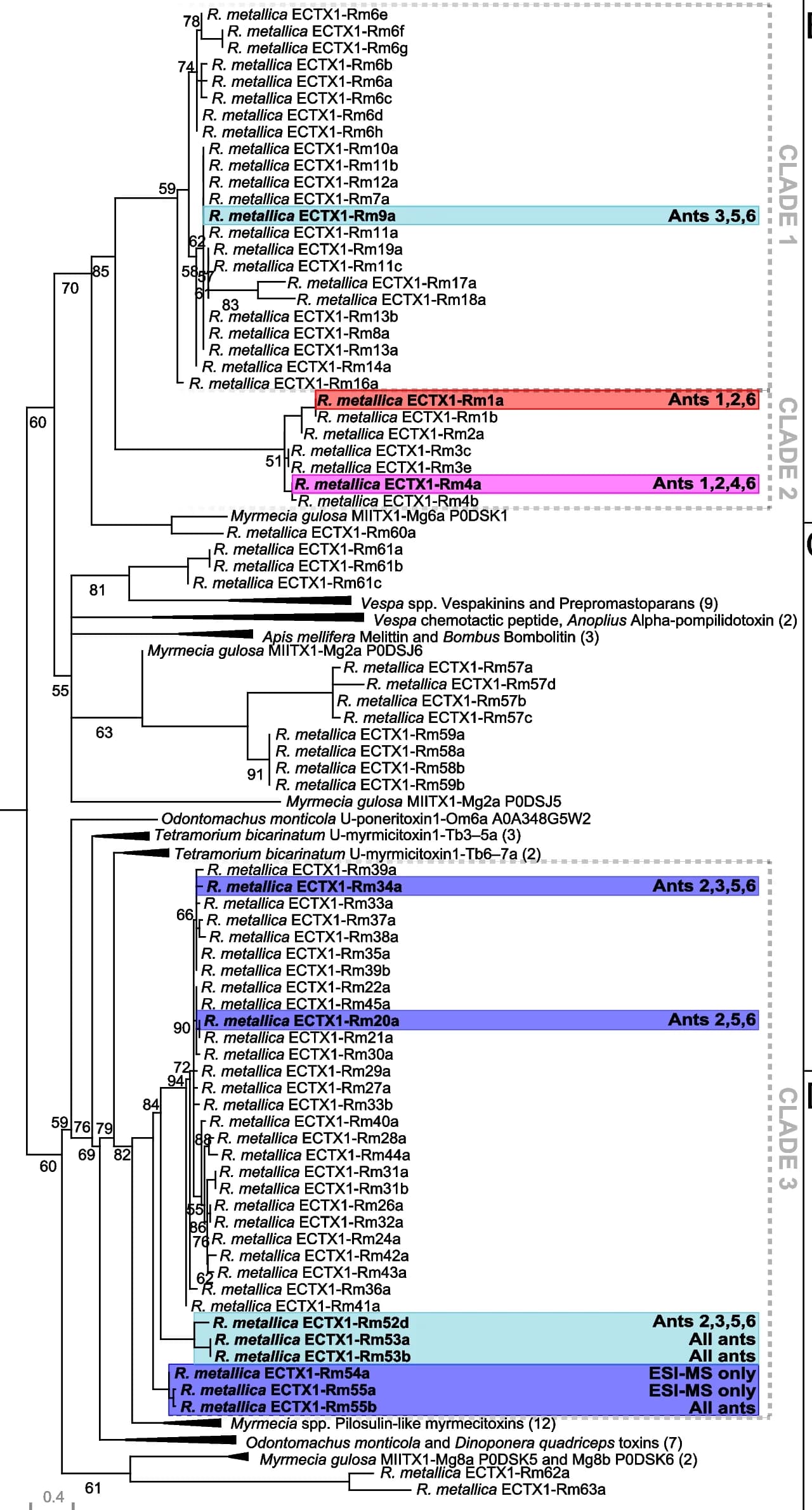 Open access visualization of Line Plot, Line Step, Phylogenetic Analysis, Aculeatoxins, Clades