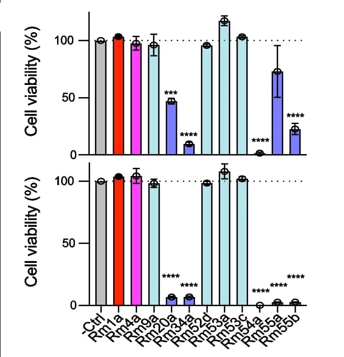 Open access visualization of Bar Plot, Error Bars, Cell Viability, Cytotoxic