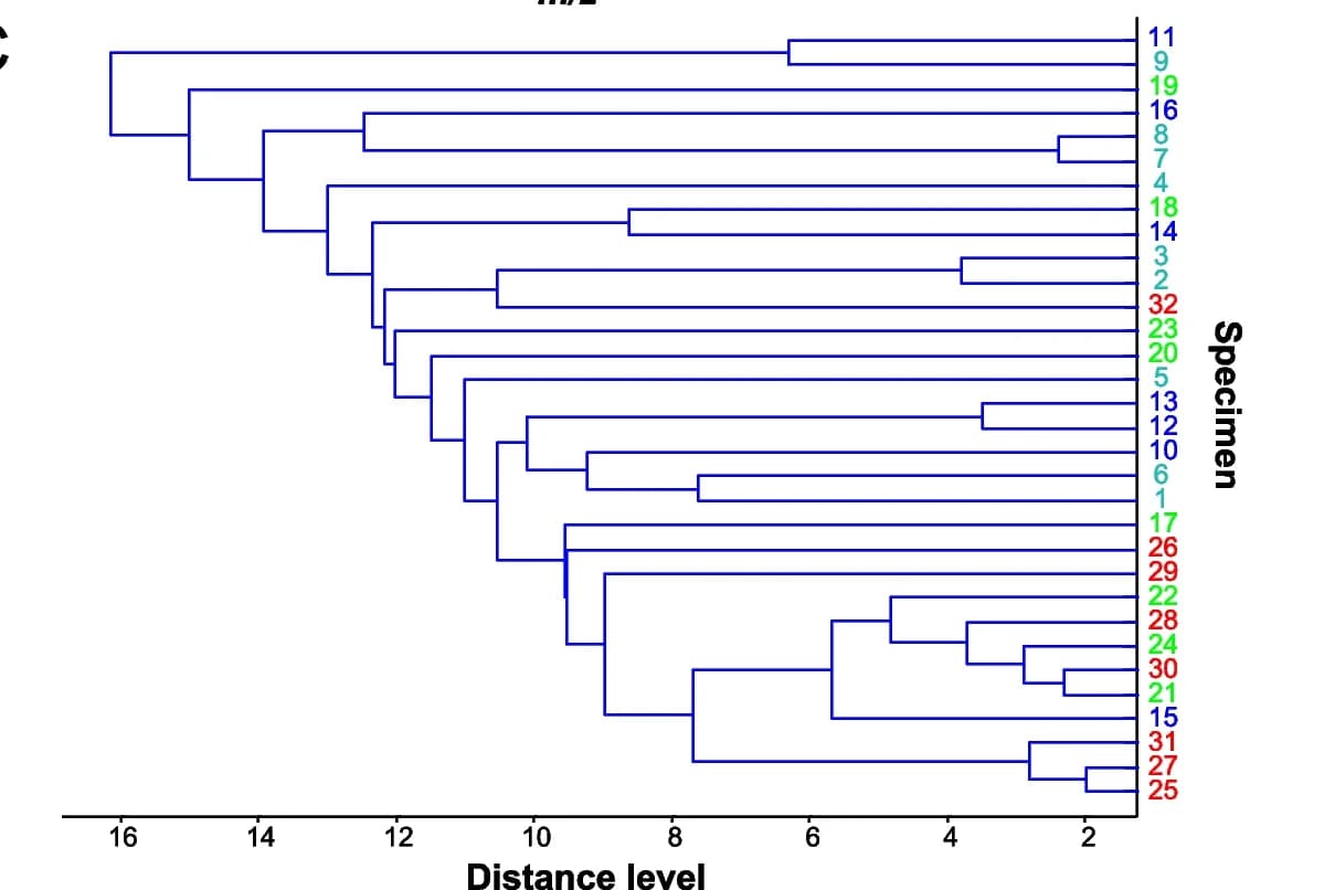 Open access visualization of Network, Pathway, PCR products, Genomic DNA, Toxin-specific primers