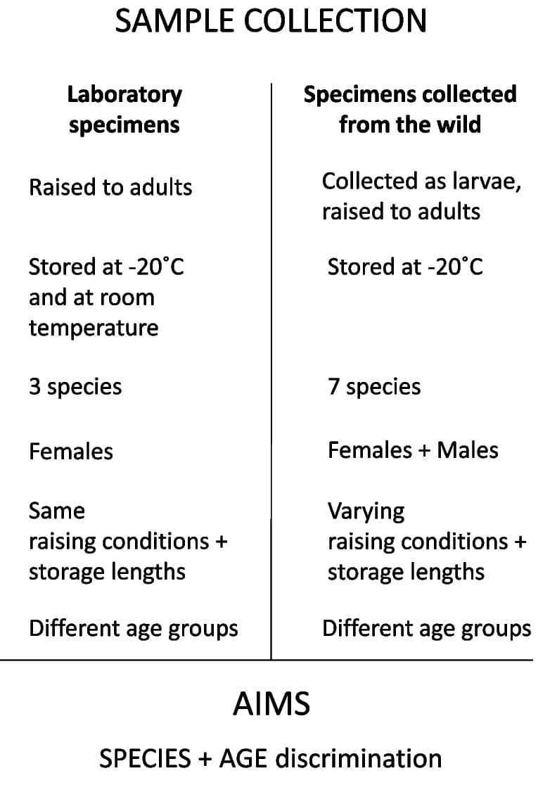 Open access visualization of Table Image, Mosquito Samples, REIMS Analysis, Sample Collection, Sample Treatment
