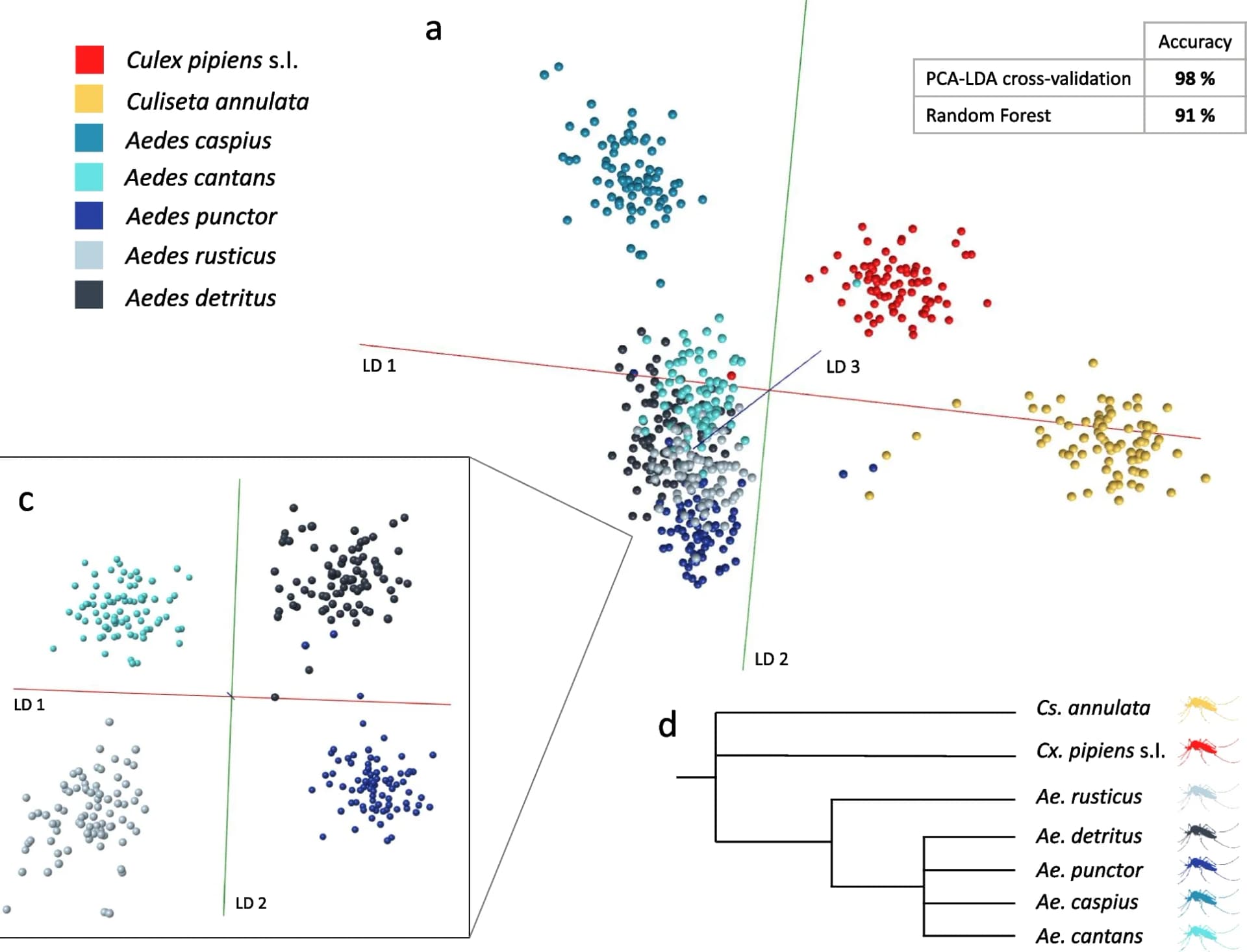 Open access visualization of Scatter Plot, PCA, Illustration, PC-LDA, Random Forest Algorithm