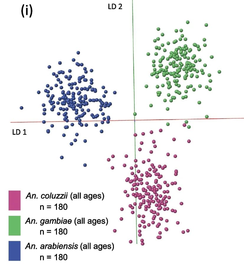 Open access visualization of Scatter Plot, PCA, REIMS, Mosquitoes, Age Groups