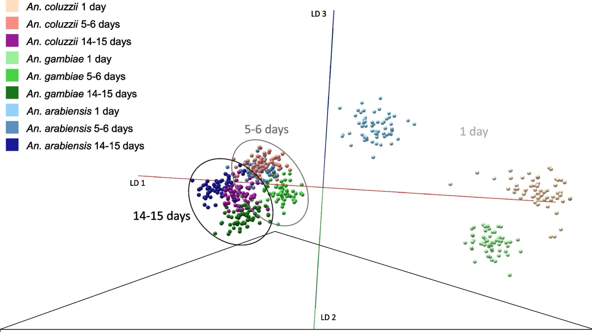 Open access visualization of Scatter Plot, PCA, PC-LDA, Offline Model Builder, Specimens