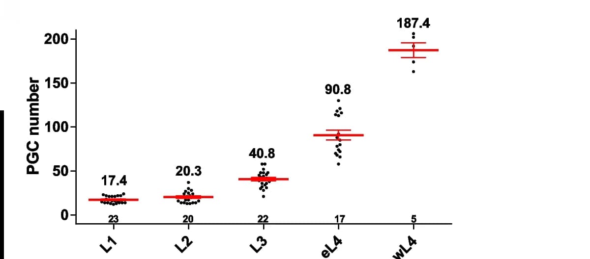 Open access visualization of Scatter Plot, Error Bars, PGC Number, L1 Stage, wL4 Stage