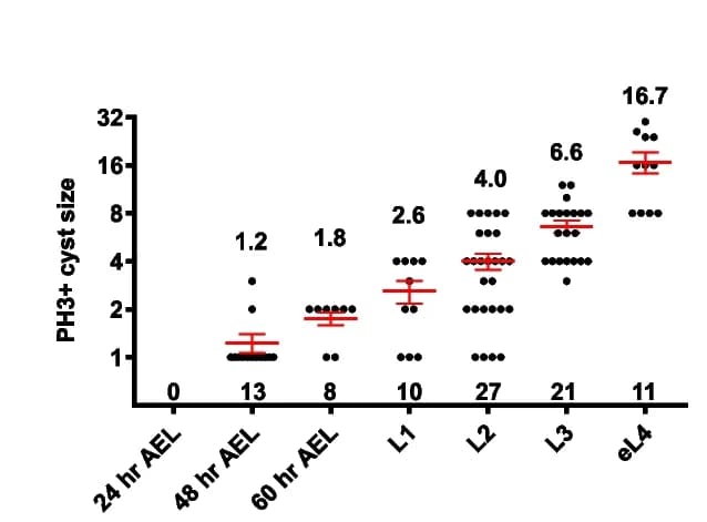 Open access visualization of Scatter Plot, Error Bars, PH3, Cyst Size, Quantification