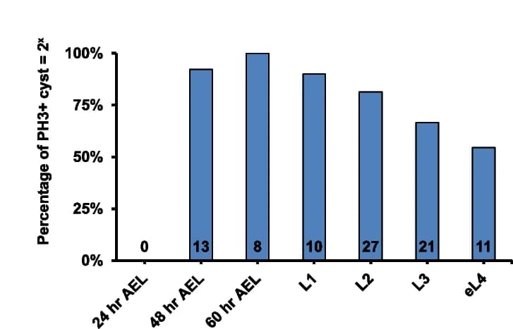 Open access visualization of Bar Plot, PH3, PGC, Cyst, Percentage