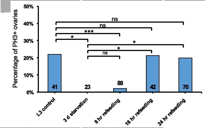 Open access visualization of Bar Plot, Ovaries, PH3-positive PGCs, Quantification