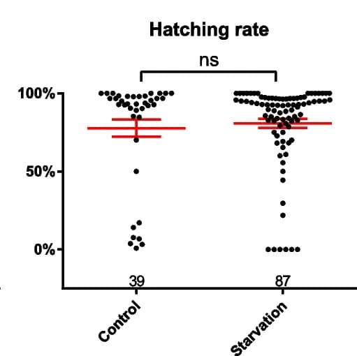 Open access visualization of Scatter Plot, Ovariole Number, Egg Number, Hatch Rate, Starvation
