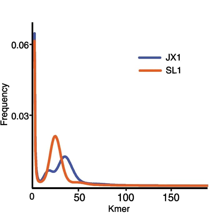 Open access visualization of Line Plot, Density Plot, K-mers, JX1, SL1