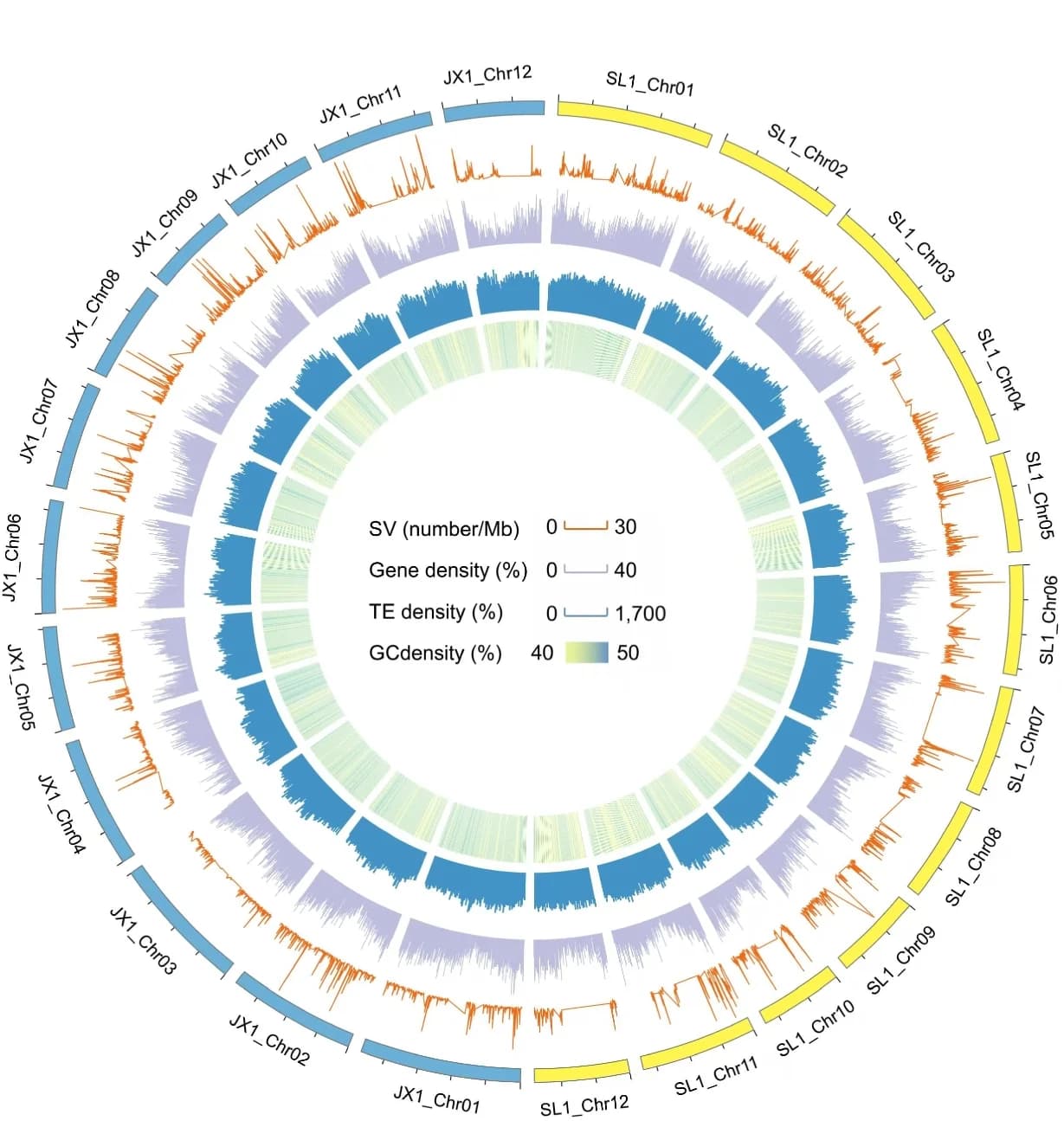 Open access visualization of Circos Plot, Line Plot, Bar Plot, Heatmap, SV Number Distribution