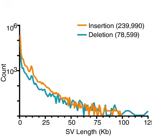 Open access visualization of Line Plot, Structural Variation, Frequency, Size