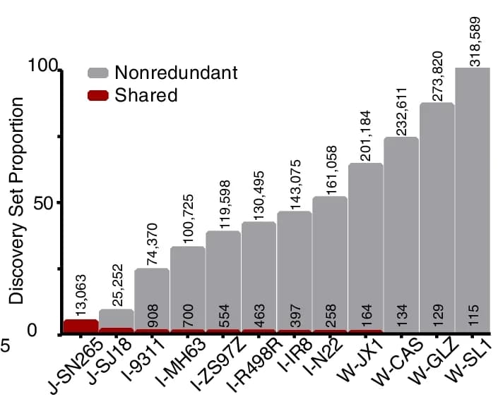 Open access visualization of Bar Plot, Structural Variation, Sample Merging, Nonredundant Strategy